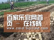 种植基地七(图1)