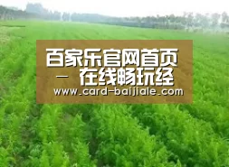 种植基地四
